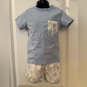 City Beautiful Children’s Boutique Peter Rabbit Shirt and Short Set